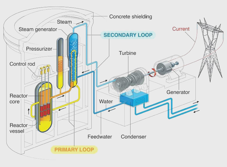 how nuclear power plants generate electricity